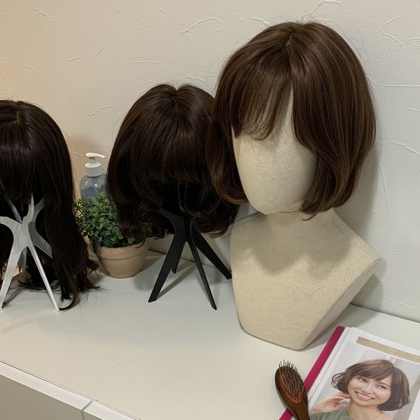 Xg[[̈×pEBbO͌ڂ̎RX^C̔ɒ]