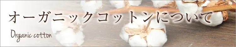 ��×p�X�q�V�G���E�I�[�K�j�b�N�R�b�g���ɂ���