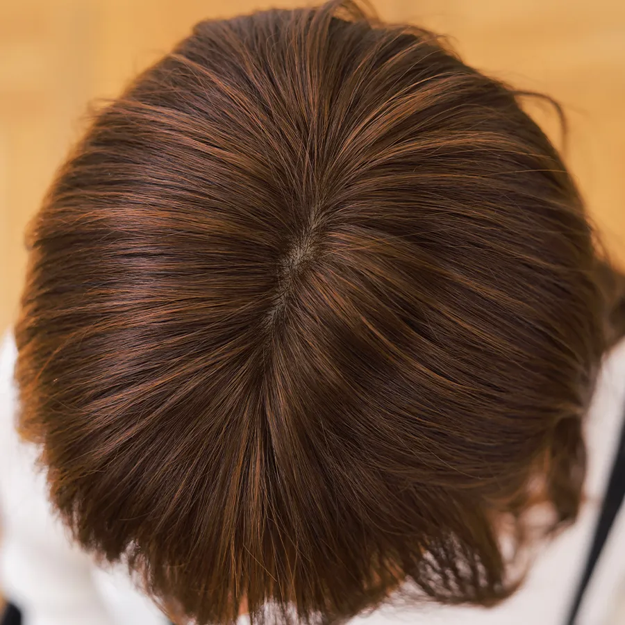 O[̂鎺Ŕ΂ޏA×pEBbO̎RȎƏ_炩\